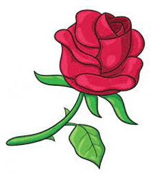 a red rose with green leaves and a stem on a white background .