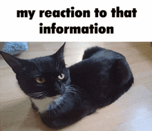 a black and white cat is laying on a wooden floor next to a text that says my reaction to that information