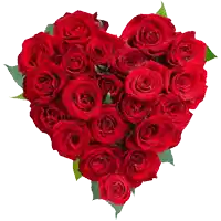 a heart made of red roses with green leaves