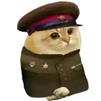 a cat wearing a military uniform with a red star on the sleeve