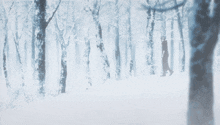 a person walking through a snowy forest