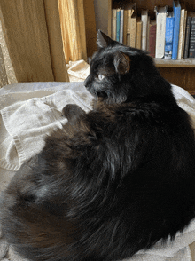 a black cat is laying on a towel in front of a bookshelf filled with books including one called the hobbit