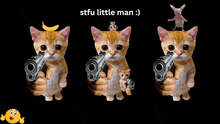 three kittens holding guns with the words stfu little man written below them