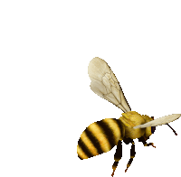 a yellow and black bee is flying in the air