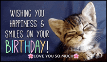 a birthday card with a kitten and the words wishing you happiness & smiles on your birthday