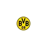 a yellow and black logo with bvb 09 on it