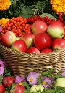 a wicker basket filled with apples and berries surrounded by flowers