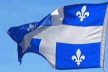 blue and white flag with fleur de lis on it