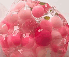 a close up of a pile of pink balls in a clear liquid .