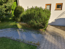 a brick walkway leading to a house with a bush in the foreground