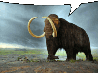 a mammoth with a speech bubble above its head