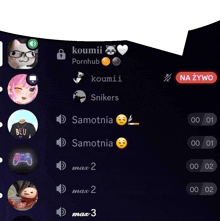 a screenshot of a chat with koumii and pornhub