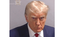 donald trump is wearing a suit and tie in a mug shot .