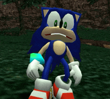 a video game character named sonic the hedgehog is standing in a grassy area