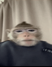 a blurry picture of a monkey wearing glasses and a sweater