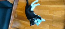 a black and white cat laying on its back on a wood floor