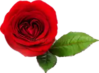 a red rose with a heart shaped center and a green leaf