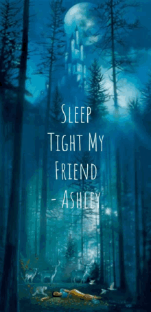 a poster that says sleep tight my friend - ashley on it