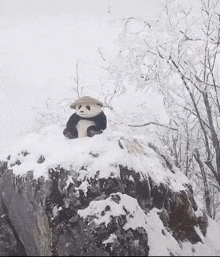 a panda wearing a hat is sitting on top of a snow covered rock .