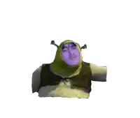 shrek has a purple face and a green hat on