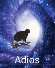 a cat is riding a skateboard through a galaxy with the words adios written below it