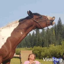 a woman sits in a chair next to a brown and white horse with the words viralhog written on the bottom