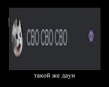 a picture of a cat with the words `` cbo cbo cbo '' written on it in russian .