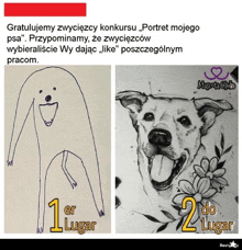 a drawing of a dog and a drawing of a dog with the words 1er lugar and 2 do lugar