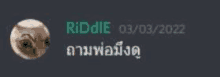 a blurred image of a cat 's face with the words riddie 03/03/2022 written on it .