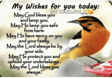 a picture of a bird with a quote that says my wishes for you today