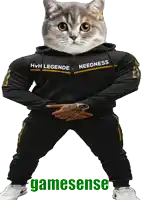 a cat is wearing a black hoodie that says hvh legends needness