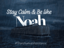 a boat in the middle of the ocean with the words `` stay calm & be like noah '' written on it .