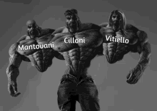 three muscular men with the names cilloni mantovani and vitiello written on them