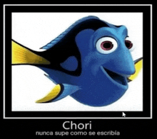 a picture of dory from the movie finding nemo with the caption " chori nunca supe como se escriba "