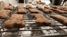 a bunch of dog treats sitting on a cooling rack