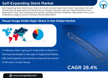 a poster for self-expanding stent market shows a pie chart