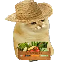 a cat wearing a straw hat is holding a wooden crate of vegetables