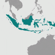 a map of the world shows indonesia in green