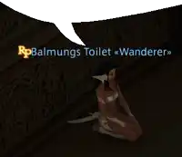 a woman is kneeling in front of a wall with a speech bubble that says balmuns toilet wanderer