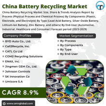 china battery recycling market size share & trends analysis report by process ( physical process and chemical process ) by components