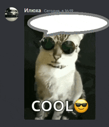 a picture of a cat wearing sunglasses with the word cool on it