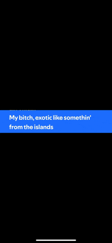 a blue banner with the words `` my bitch , exotic like somethin ' from the islands '' on it .