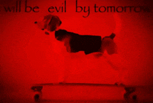 a dog standing on a skateboard with the words " will be evil by tomorrow " above it