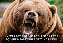 a bear with its mouth open and the words i never get a break to sleep or eat 3 square meals while getting paid written below it