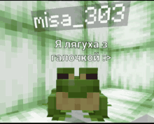 a frog in a room with misa 303 written on the top