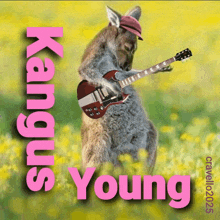 a kangaroo is holding a guitar and wearing a hat with the words kangus young behind it