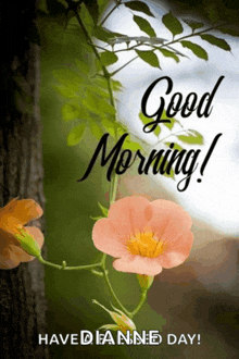 a picture of a flower with the words " good morning " above it