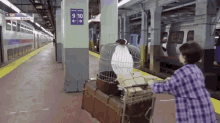 a woman pushes a cart with a bird in a cage in front of a sign that says 9 10