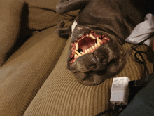 a dog laying on a couch with its mouth open next to a samsung charger