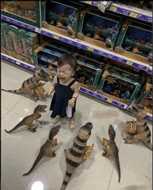 a little girl is surrounded by toy dinosaurs including a t-rex and a tyrannosaurus rex